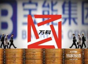 寶能系姚氏兄弟的商海征途 學歷、膽識與資本運作的合力